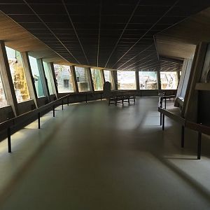 Visitor area in the small monkey house, 2022-07-10