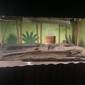 Indoor Komodo Dragon Exhibit