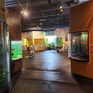 Liberty Science Center (2023) - Wild About Animals entrance