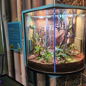 Liberty Science Center (2023) - "Evolving Alike"