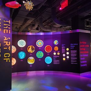 Liberty Science Center (2023) - Microbes make art