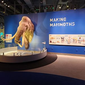 Liberty Science Center (2023) - Making Mammoths