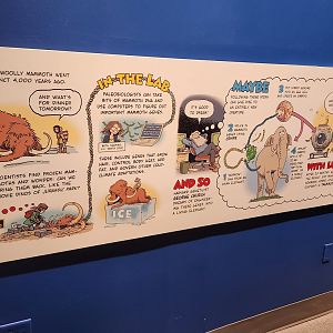 Liberty Science Center (2023) - Making Mammoths comic