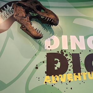 Liberty Science Center (2023) - Dino Dig Adventure