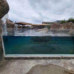 Columbus Zoo - Adventure Cove pool