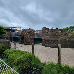 Columbus Zoo - Adventure Cove lower path