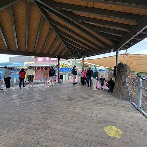 Columbus Zoo - Adventure Cove upper viewing