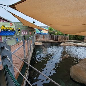 Columbus Zoo - Adventure Cove, trainer path between both sides of pool
