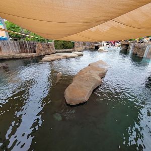 Columbus Zoo - Adventure Cove, main section of pool from above