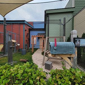Columbus Zoo - Animal Encounters Village, red-legged seriema outdoor area
