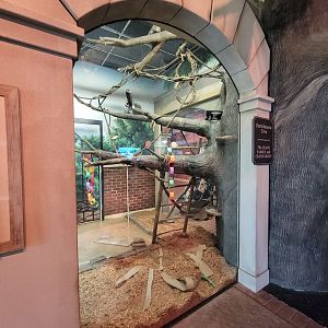 Columbus Zoo - Animal Encounters Village corner exhibit, currently holding prehensile-tailed porcupine