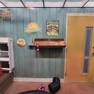 Columbus Zoo - Animal Encounters Village, sand cats