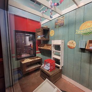 Columbus Zoo - Animal Encounters Village, sand cats