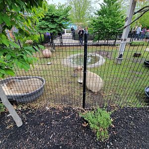 Columbus Zoo - Animal Encounters Village, capybara yard
