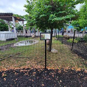 Columbus Zoo - Animal Encounters Village, capybara yard