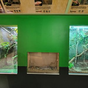 Columbus Zoo - Reptiles, Empty axolotl exhibit