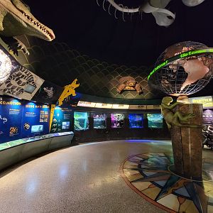 Columbus Zoo - Reptiles, rotunda area