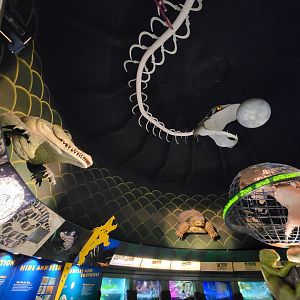 Columbus Zoo - Reptiles, rotunda area above