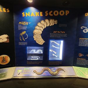Columbus Zoo - Reptiles, "Snake Scoop", example of information in rotunda