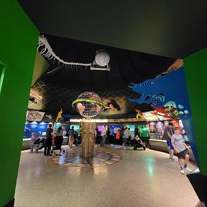 Columbus Zoo - Reptiles, rotunda