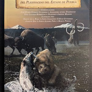 Megafauna Del Pleistoceno Del Estado De Puebla