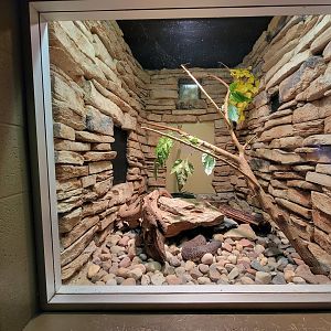 Columbus Zoo - Reptiles, Florida cottonmouth