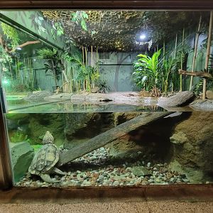 Columbus Zoo - Reptiles, Alligator snapping turtle