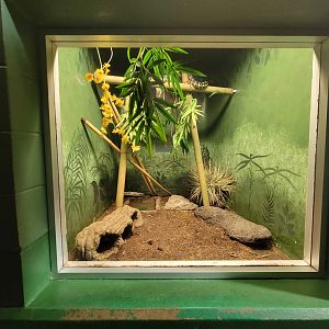 Columbus Zoo - Reptiles, Carpet python