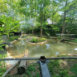 Columbus Zoo - Reptiles, American alligators