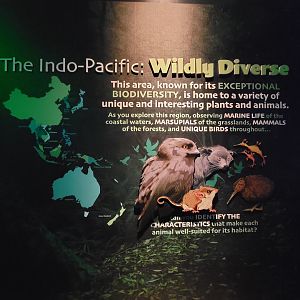 Columbus Zoo - New entrance sign inside Australia building