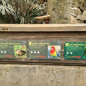 Columbus Zoo - Australia Aviary, signage example