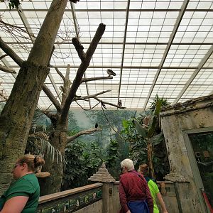 Columbus Zoo - Australia Aviary