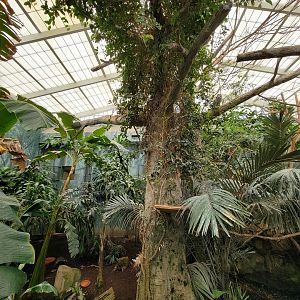 Columbus Zoo - Australia Aviary