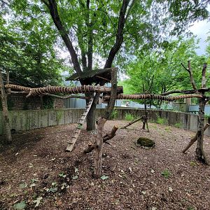 Columbus Zoo - Koala outdoor area