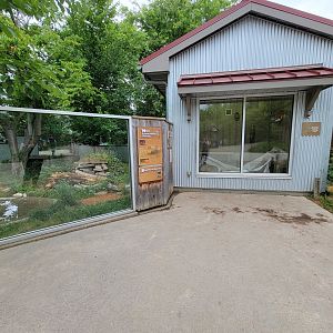 Columbus Zoo - Tasmanian devils lower viewing window and indoor viewing