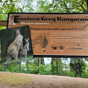 Columbus Zoo - Kangaroo Station signage example