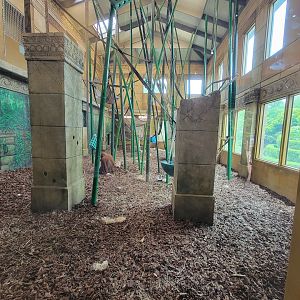 Columbus Zoo - Orangutans