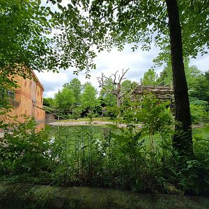 Columbus Zoo - Gibbon island from boat ride