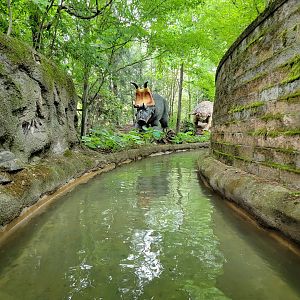 Columbus Zoo - Boat ride