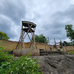 Columbus Zoo - Orangutans from boat ride