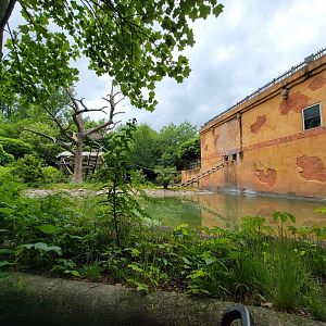 Columbus Zoo - Other side of gibbon island from boat ride