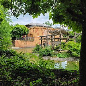 Columbus Zoo - Gibbon island