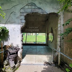 Columbus Zoo - Orangutan viewing