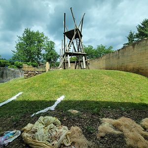 Columbus Zoo - Orangutan viewing