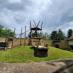Columbus Zoo - Orangutan viewing