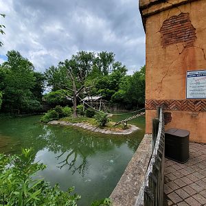 Columbus Zoo - Gibbon island
