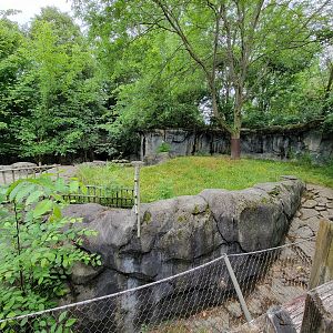 Columbus Zoo - Komodo dragon outdoor viewing