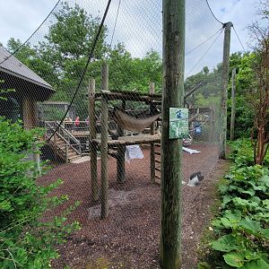 Columbus Zoo - Congo Expedition, Guereza