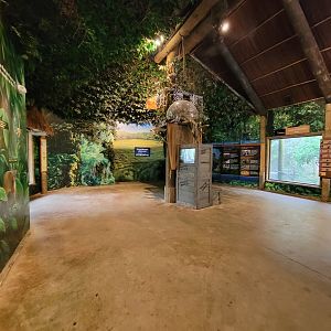 Columbus Zoo - Congo Expedition, Congo River Base Camp