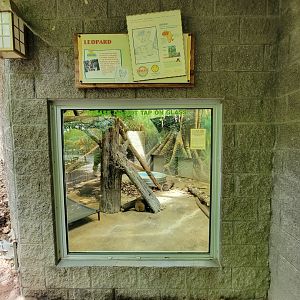 Columbus Zoo - Congo Expedition, Leopard indoor viewing